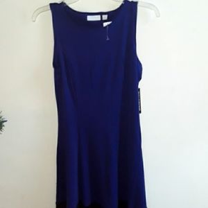 Blue Black Striped Dress